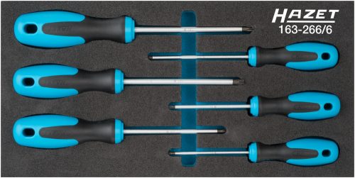 Schraubendreher Satz TORX®